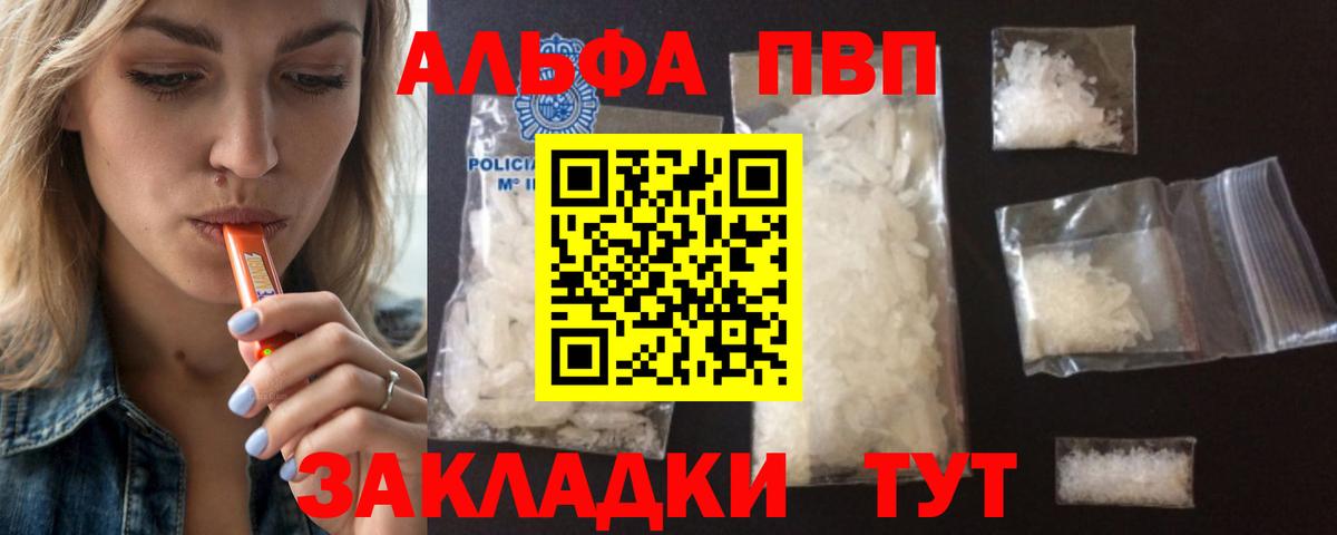 Alfa_PVP СК КРИС Кизилюрт